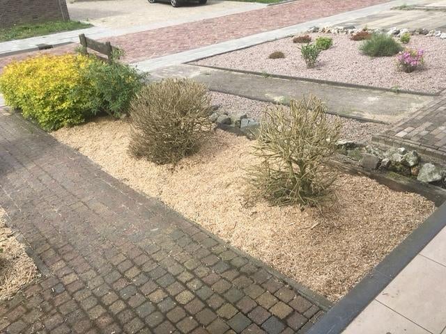 Bodembedekker |Miscanthus |mulch |duurzaam |natuurlijk, Ophalen, Ingenieursbureau Groninger, Dekamalaan 4, 8604 ZE Sneek, Info@ingenieursbureaugroninger.nl