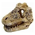 sf skull t rex s €5,95, ., Overige typen, Nieuw, Ophalen of Verzenden