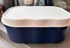 Tupperware Bakkersdoos, Huis en Inrichting, Keuken | Tupperware, Ophalen of Verzenden, Zo goed als nieuw, Bus of Trommel