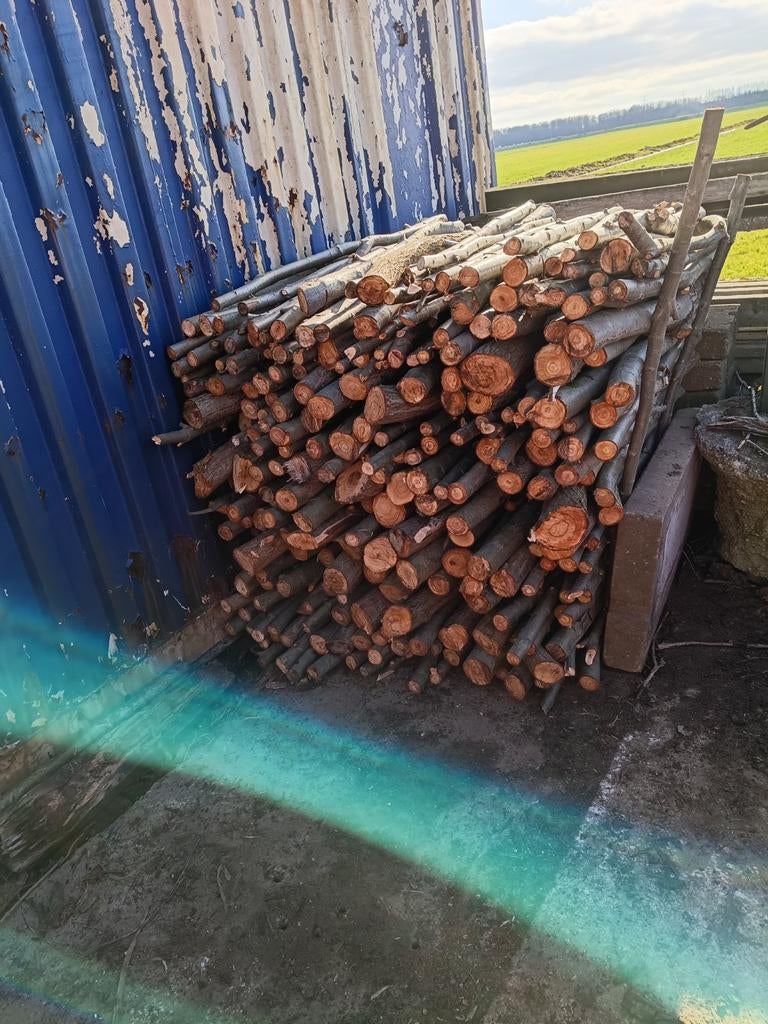 Wilgen hout, 3 tot 6 m³, Ophalen, Overige houtsoorten, Stammen