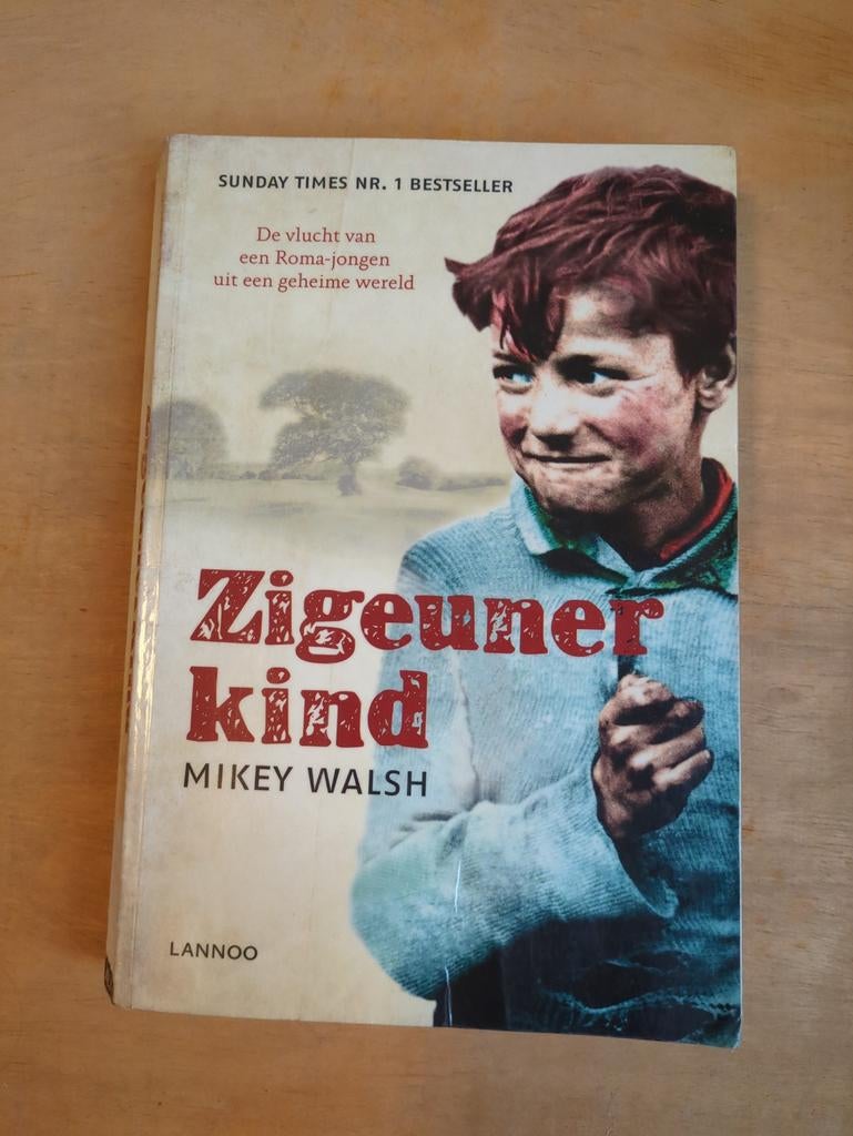 Zigeunerkind - Mikey Walsh- gebruikt, Ophalen, Gelezen, Mikey Walsh, Overige