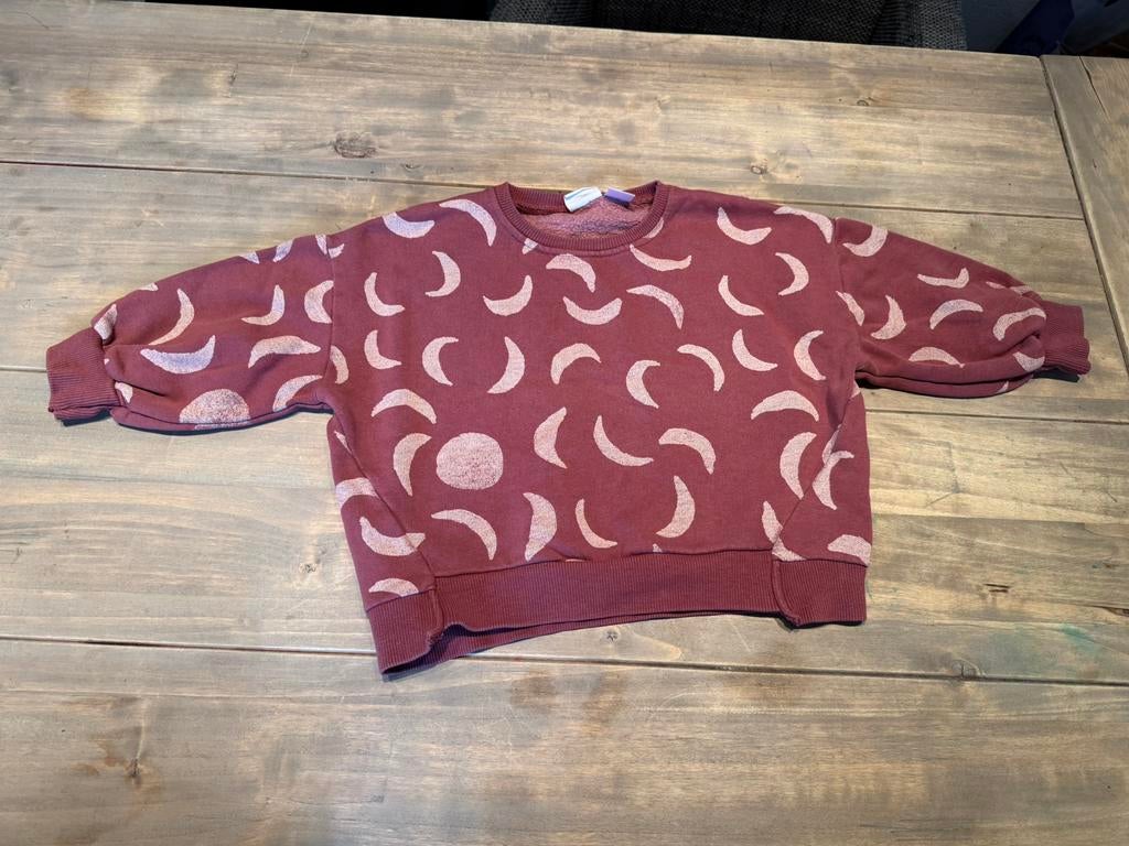 50. Trui roze meisje maat 104. Zara., Kleding | Dames, Truien en Vesten, Ophalen of Verzenden, Zo goed als nieuw, Maat 34 (XS) of kleiner