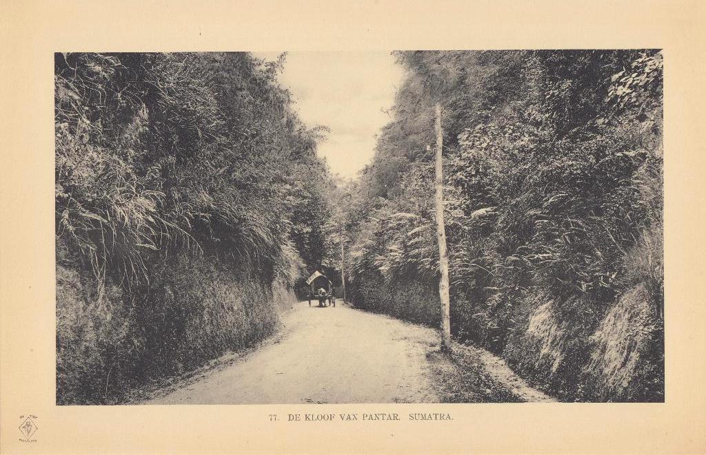 Fotoprent Indonesie Lichtdruk Sumatra Indonesia 1910, Verzenden, Voor 1940, Zo goed als nieuw, Buitenland
