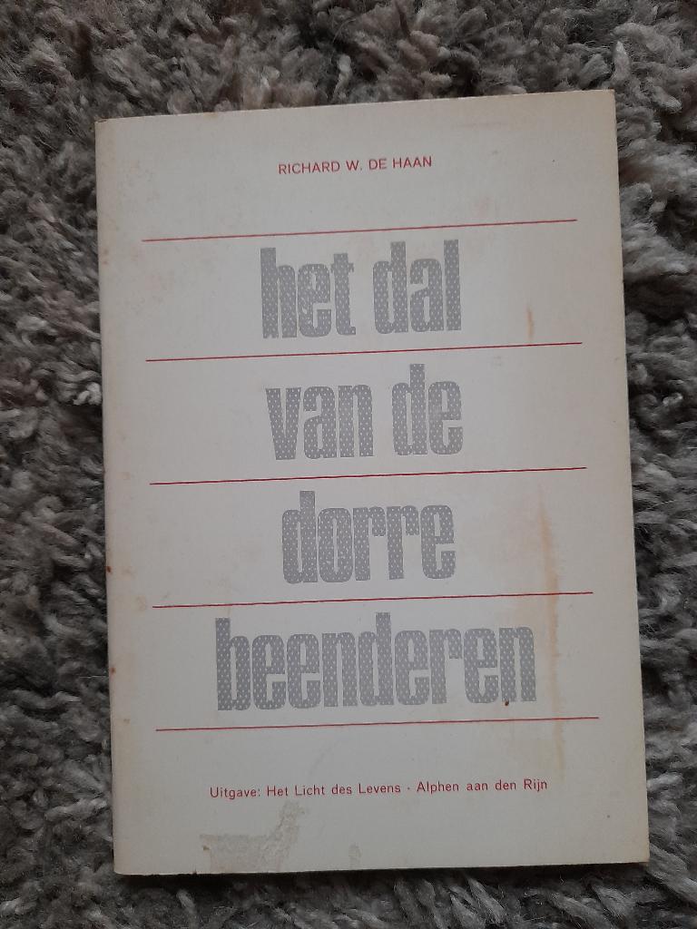 HET DAL VAN DE DORRE BEENDEREN  Richard W de Haan, Ophalen of Verzenden, Gelezen