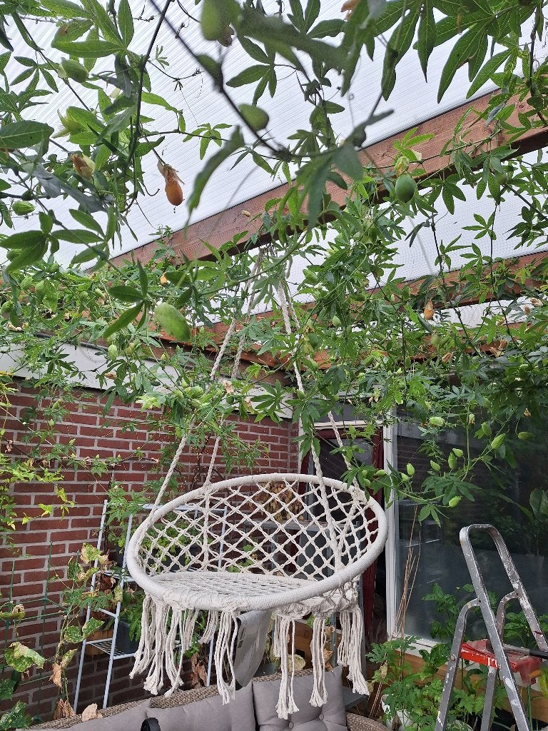 Hangstoel, Ophalen, Nieuw, Overige materialen