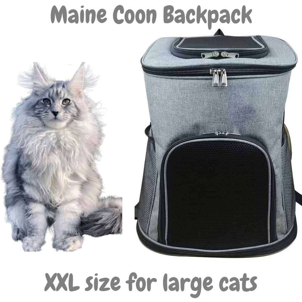 Kattenrugzak Maine Coon, grote kat tot 12 kg, 40x31x54 cm, Info@zoospot.nl, Nieuw, Disketteweg 18, 1033 NW Amsterdam, Verzenden