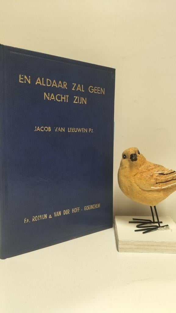 Leeuwen Pz., Jacob van ; En aldaar zal geen nacht zijn, Ophalen of Verzenden, Gelezen, Christendom | Protestants