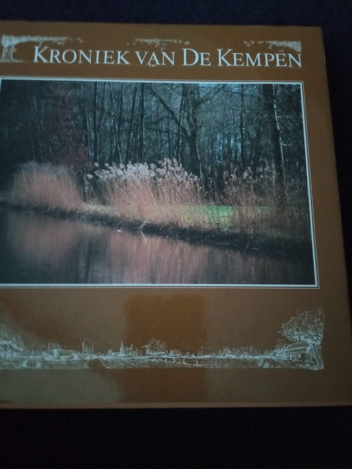 Kroniek van de Kempen deel 20 nieuw Bernadette grot Weebosch, 20e eeuw of later, Nieuw, Diverse auteurs, Ophalen of Verzenden