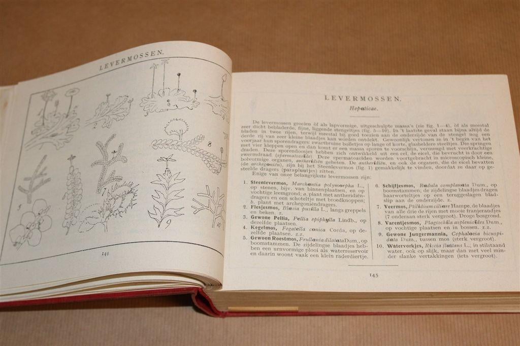 Geïllustreerde Flora van Nederland [1953] — Heimans & Thijss, Boeken, Natuur, Ophalen of Verzenden, Gelezen, Bloemen, Planten en Bomen