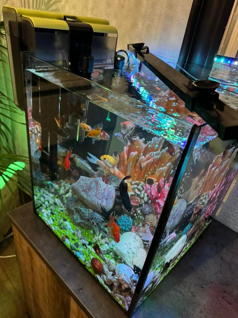 70 alles mag weg, Dieren en Toebehoren, Vissen | Aquaria en Toebehoren, Ophalen of Verzenden, Zo goed als nieuw