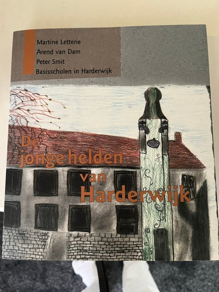 De Jonge Helden van Harderwijk - Geschiedenisboek, Ophalen of Verzenden, Zo goed als nieuw, Non-fictie