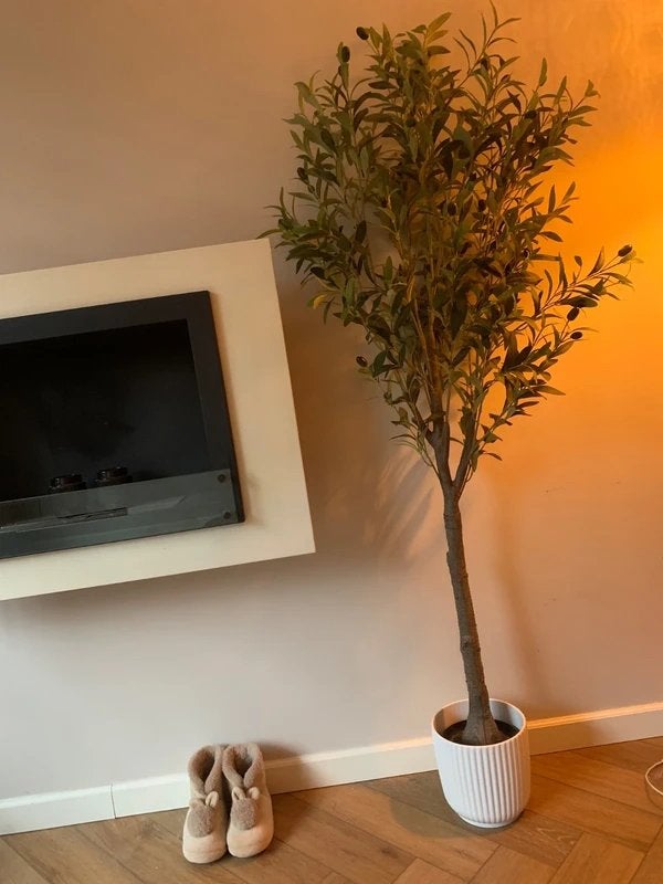 Kunst olijfboom inclusief pot, Ophalen, Groen, Zo goed als nieuw, Mediterraans