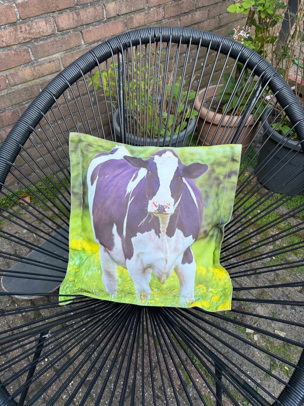Tuinkussen met koeienprint - Zwart/Wit, Ophalen, Gebruikt, Zwart, Vierkant