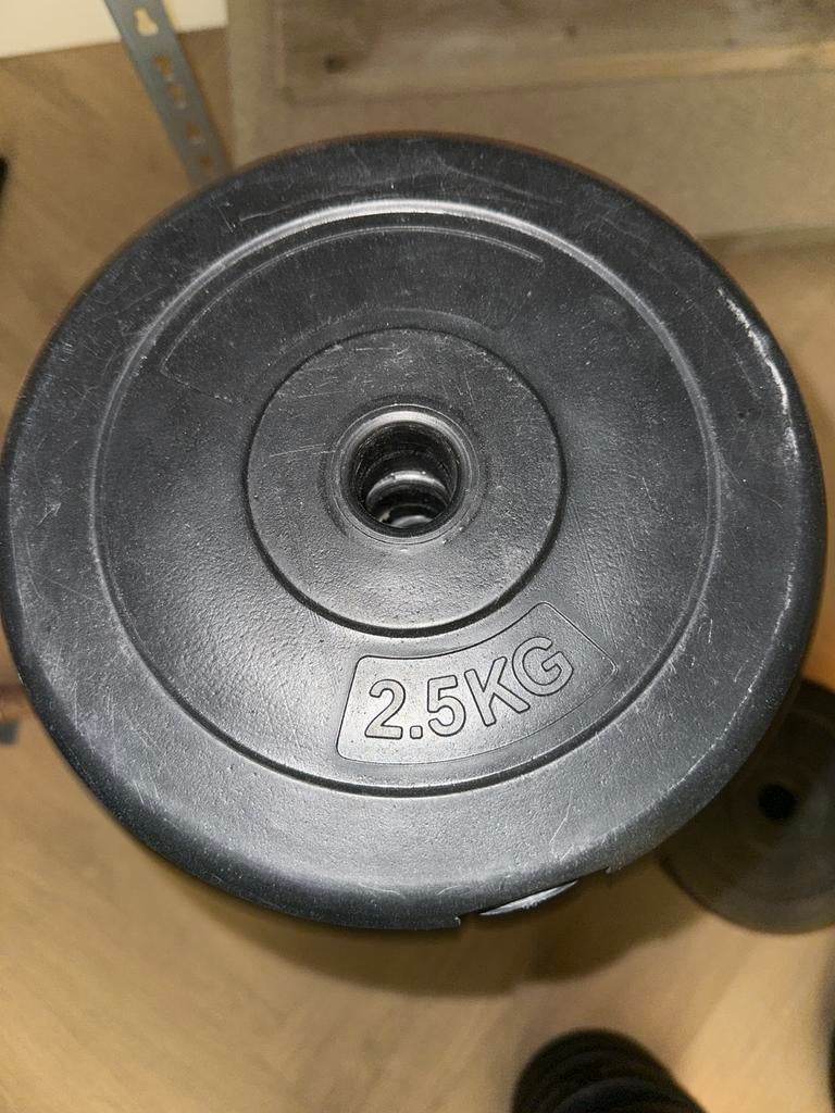 Gewichtschijven 63,5kg, Ophalen, Gebruikt, Halterschijven