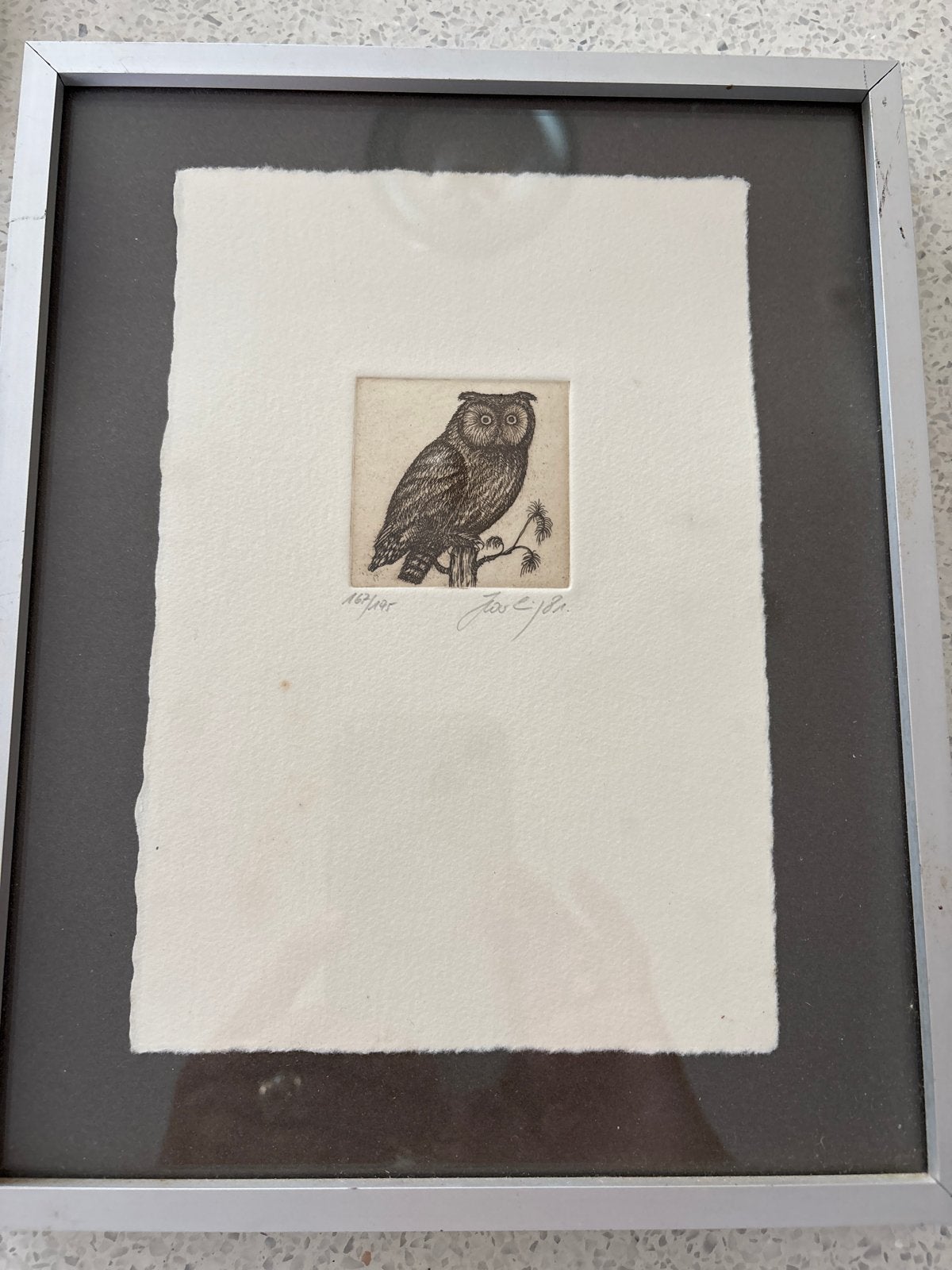 Uil ets, gesigneerd en genummerd, ingelijst, Antiek en Kunst, Ophalen of Verzenden, Flora en Fauna, 1950 - 1999, Genummerd