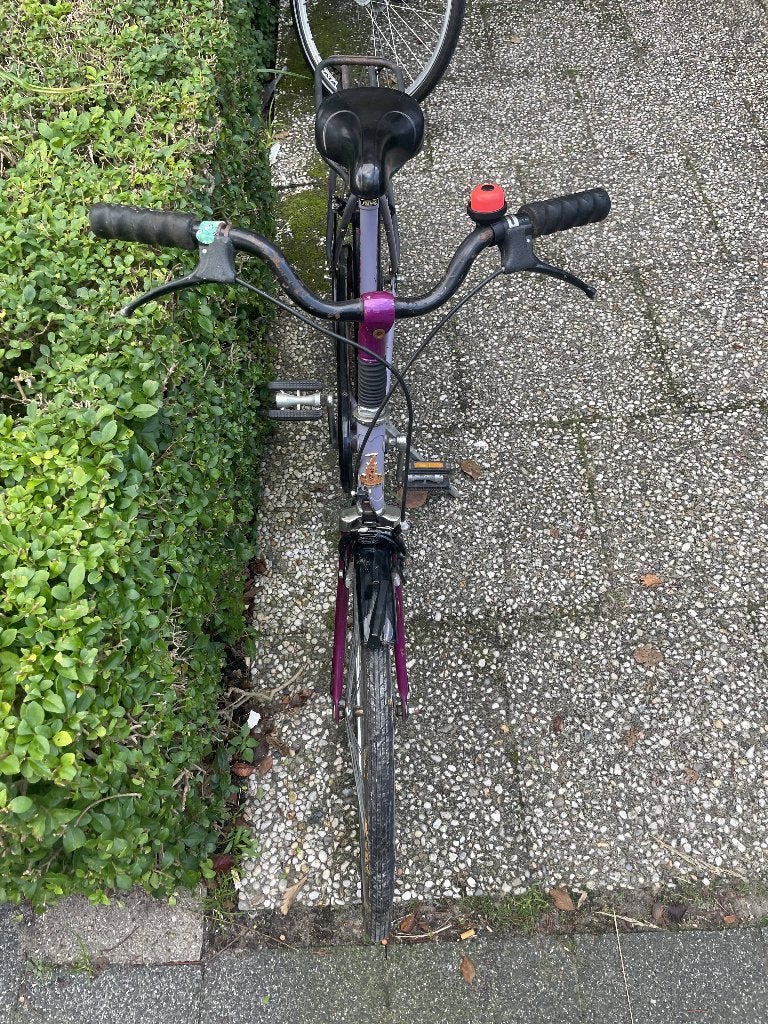 Purple Raleigh Bike - 24 inch wheelbase, Ophalen, Handrem, Raleigh, Schijfrem