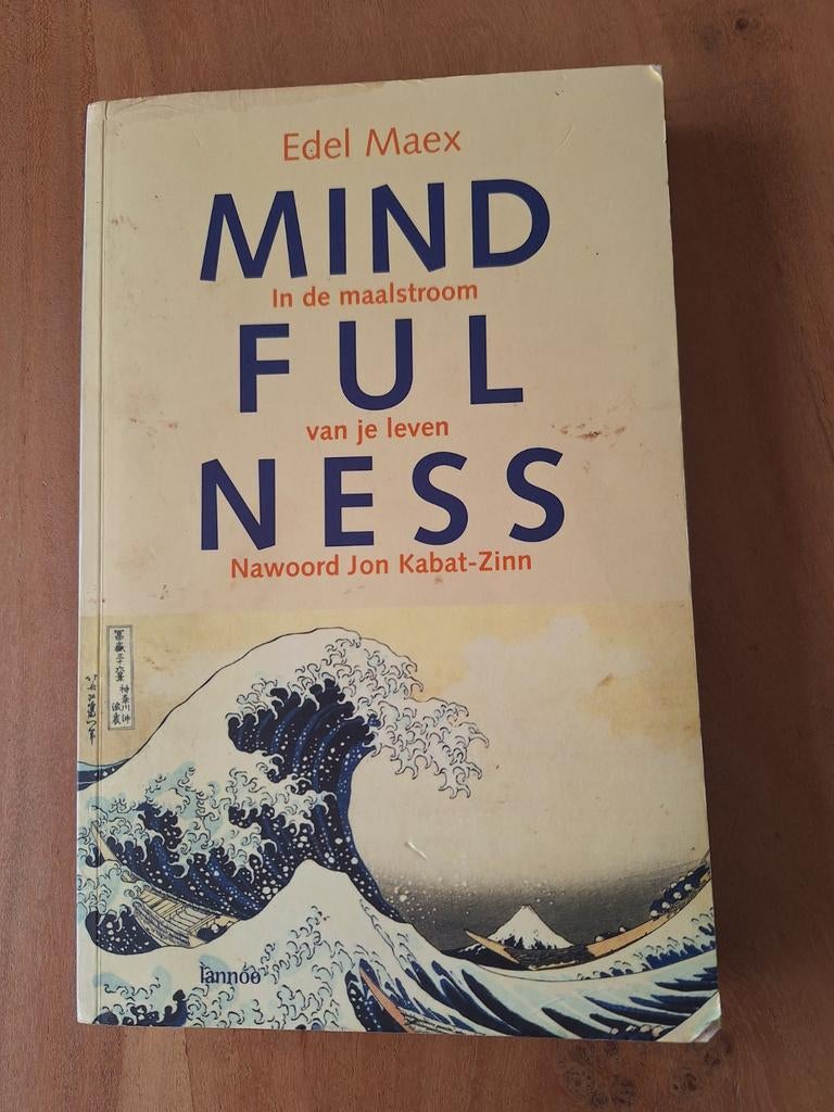 Edel Maex - Mindfulness, Boeken, Zo goed als nieuw, Instructieboek, Overige onderwerpen, Edel Maex