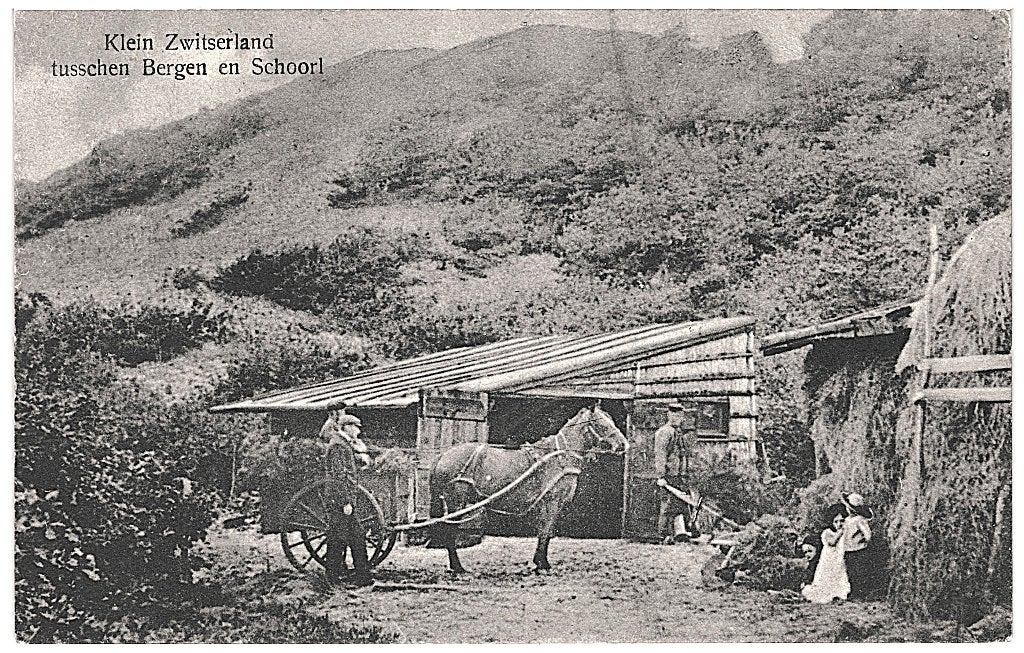 700286	Tussen Bergen en Schoorl	Klein Zwitserland	NH 1925