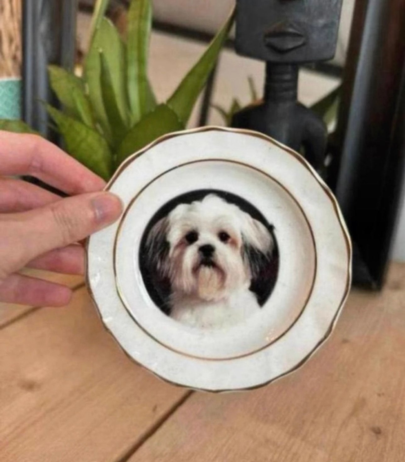 schoteltje van het merk faithful friends met een shih tzu, Ophalen of Verzenden