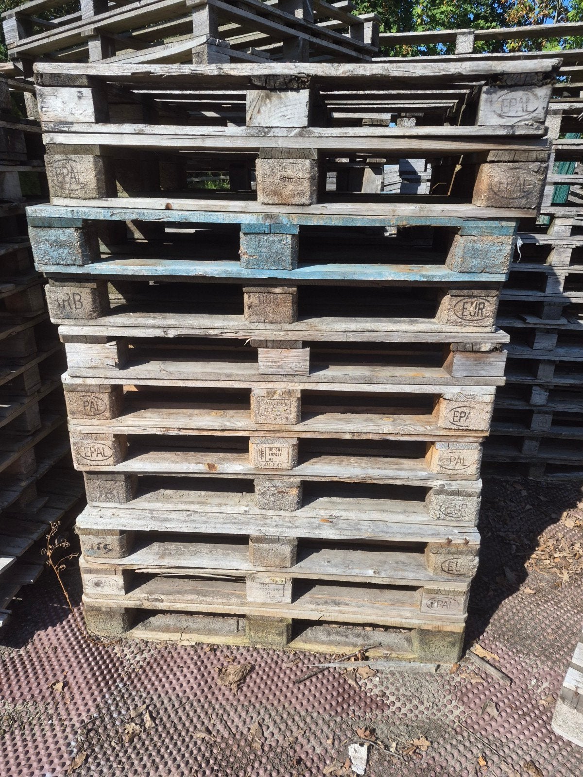 euro pallets en blok pallets, Doe-het-zelf en Verbouw, Hout en Planken, Ophalen, Overige houtsoorten, Minder dan 200 cm, Pallet
