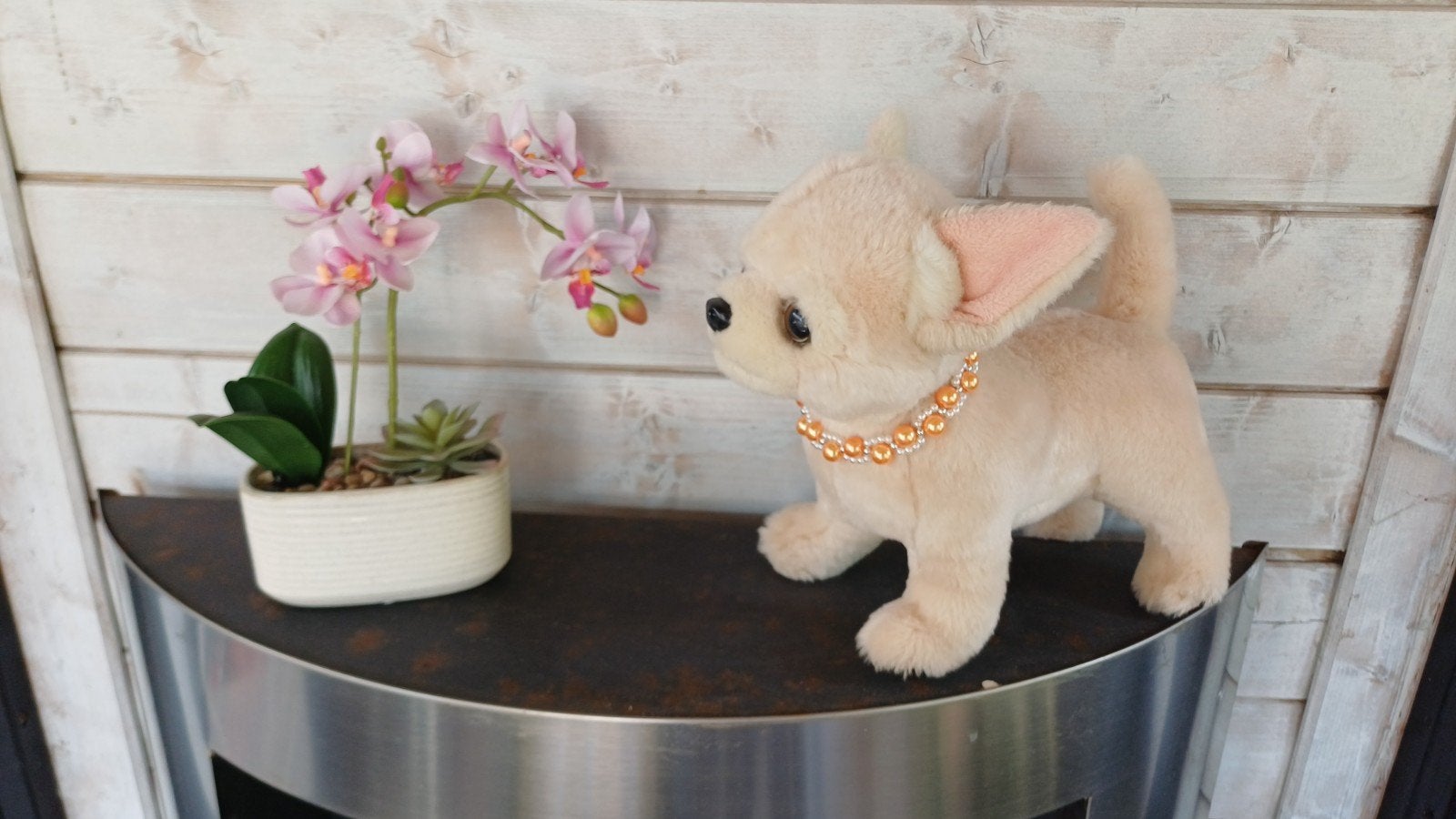 Chihuahua Beadskettinkjes, Ophalen of Verzenden, Nieuw, Halsband