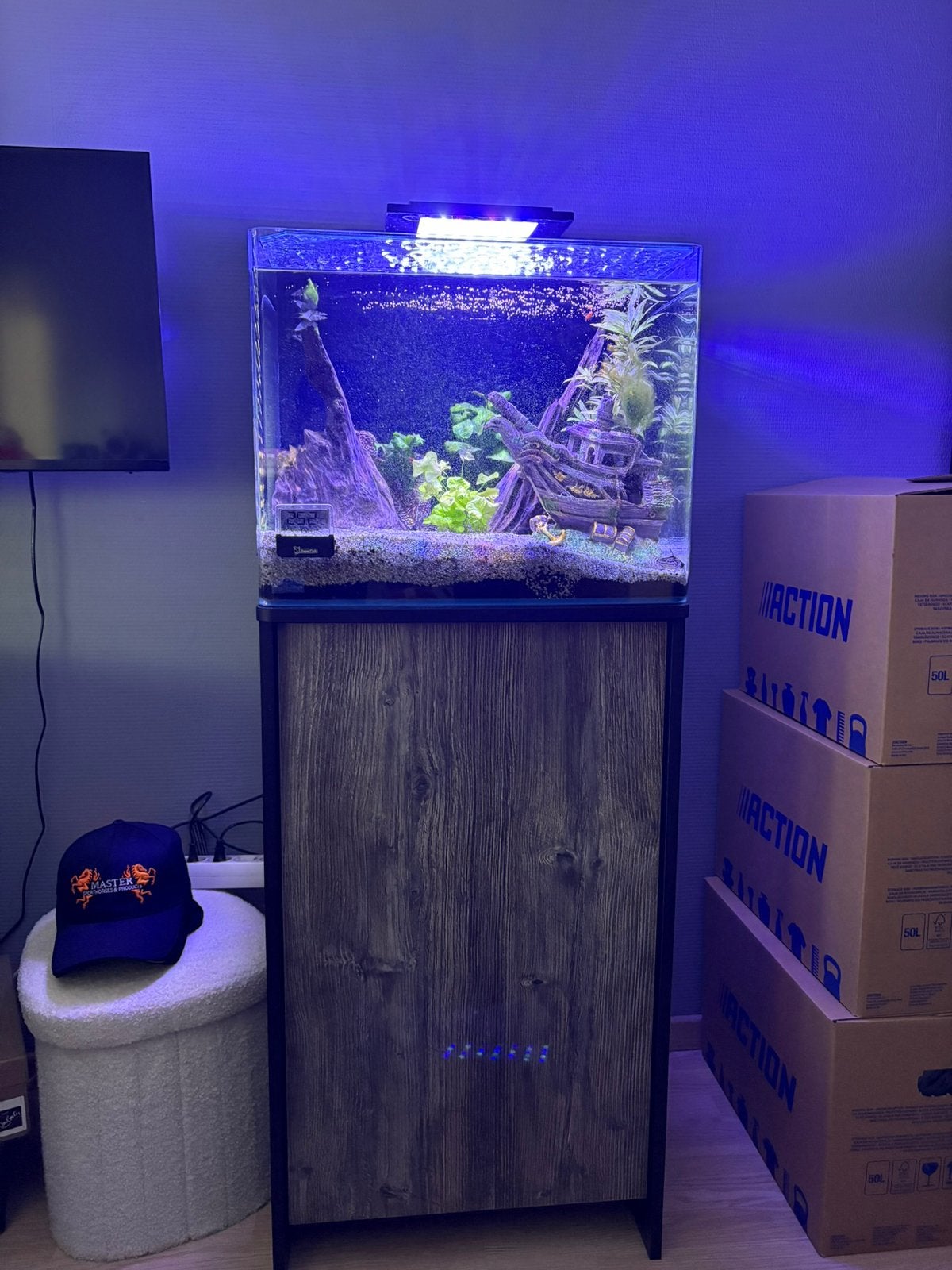 Aquarium, Ophalen, Zo goed als nieuw, Leeg aquarium