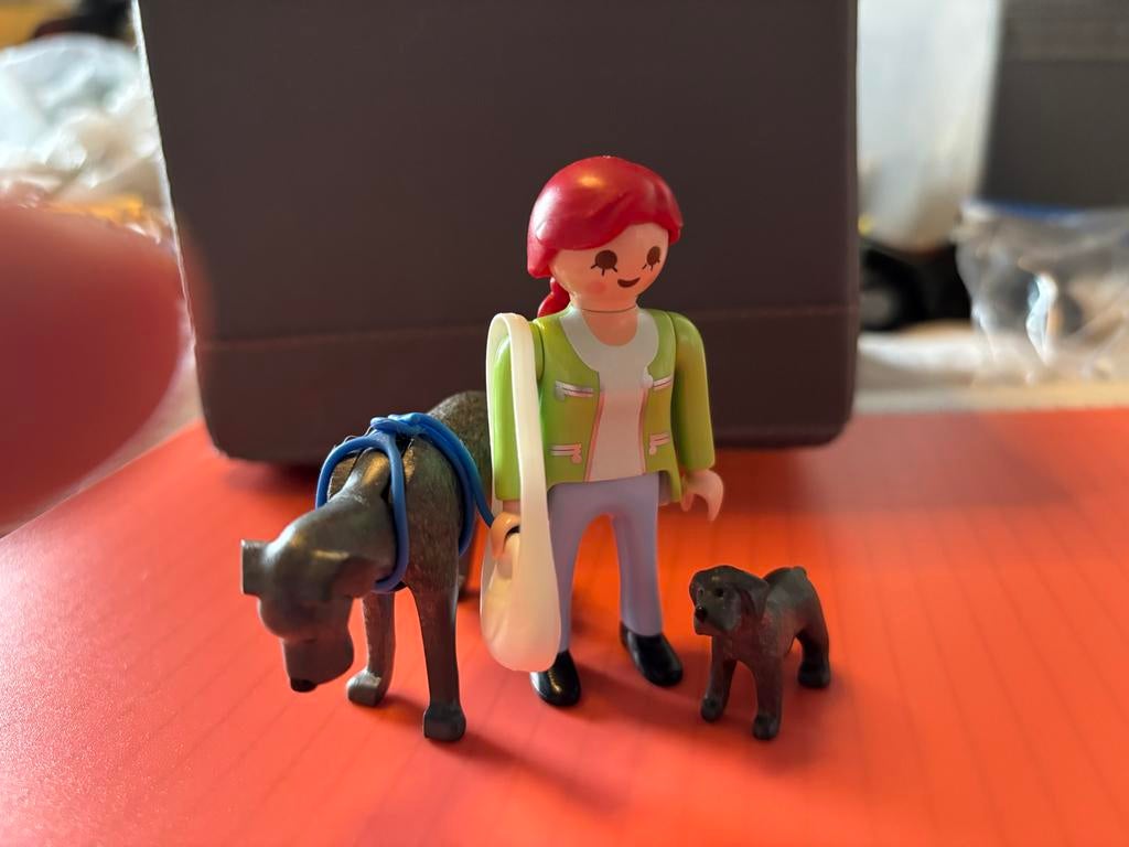 Playmobil 5210 Deense dog met pup en bazin (zonder ketting), Ophalen of Verzenden, Gebruikt, Los playmobil