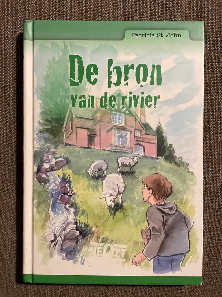 P. Saint John - De bron van de rivier, Boeken, Ophalen of Verzenden, Zo goed als nieuw, P. Saint John