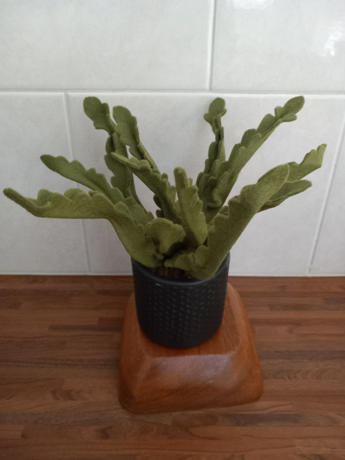 Krulvaren plant van vilt in zwart potje, Binnen, Groen, Handgemaakt, Kunstplant