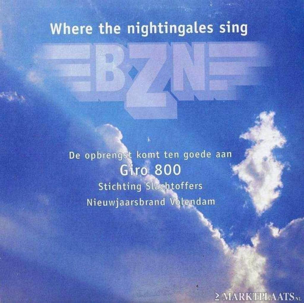 BZN - Where The Nightingales Sing, Cd's en Dvd's, Cd Singles, Ophalen of Verzenden, Zo goed als nieuw, Overige genres