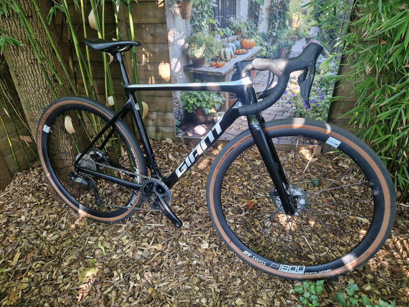 Giant TCX Gravelbike/Cyclocross maat S full carbon Di2 1x12, Carbon, 49 tot 53 cm, Meer dan 20 versnellingen, Giant