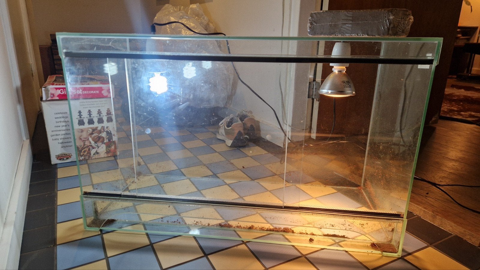 terrarium voor reptielen zoals schildpadden, Dieren en Toebehoren, Ophalen, Zo goed als nieuw