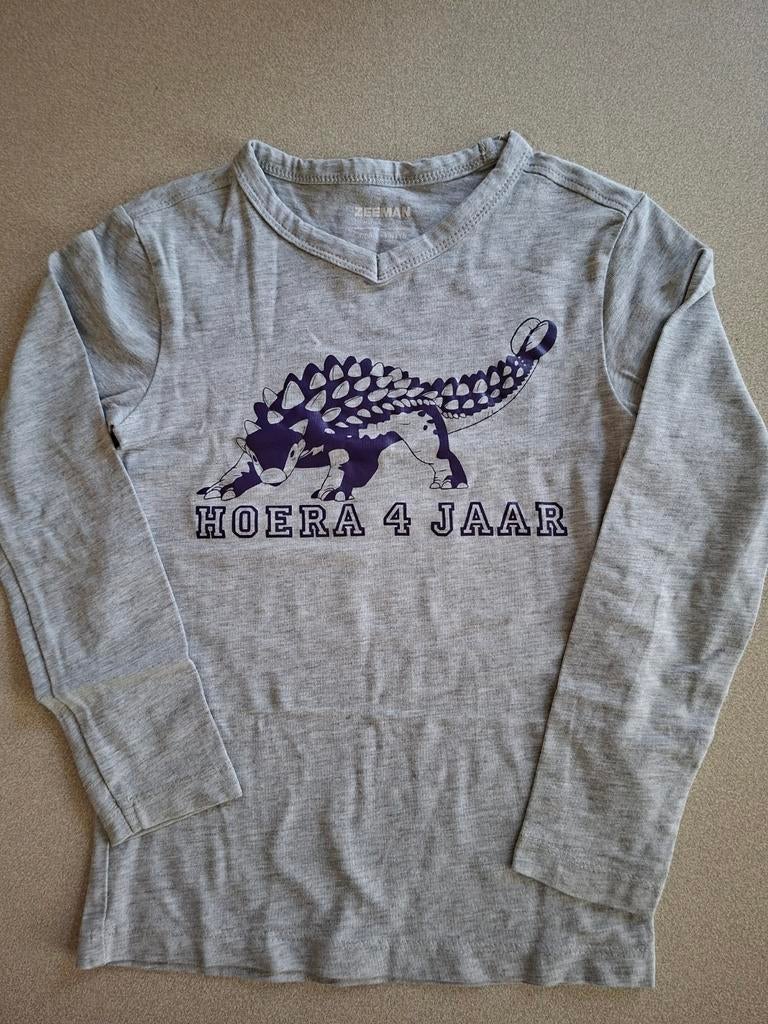 Jongensshirt Dino 110 Hoera 4 jaar in zeer nette staat., Hoera 4 jaar, Ophalen of Verzenden, Zo goed als nieuw, Shirt of Longsleeve