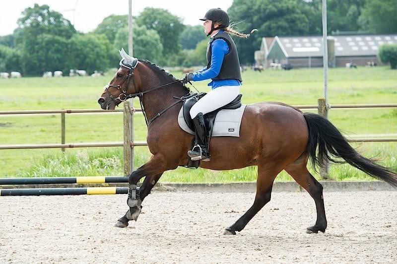 Gezocht: verzorger / bijrijder in Berkenwoude, Ruiter of Bijrijder