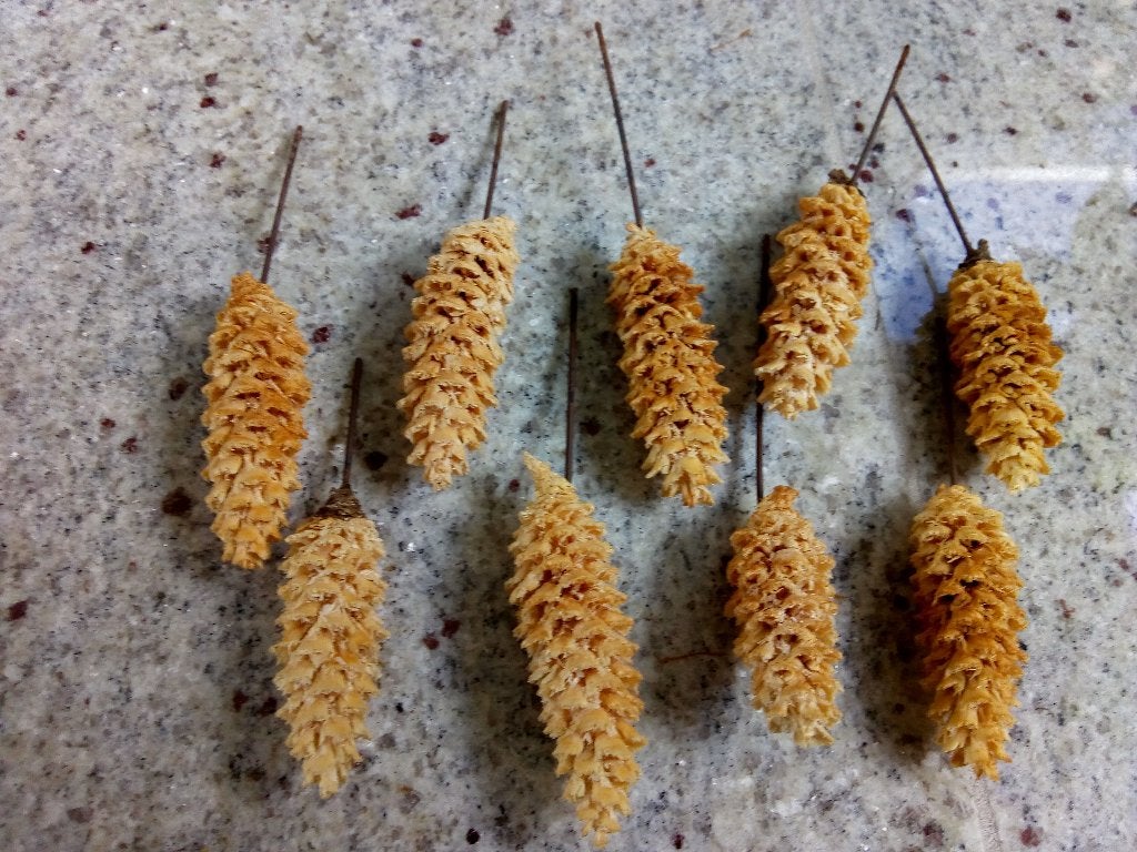9 mini witgele dennenappels op een pin, Hobby en Vrije tijd, Knutselen, Ophalen of Verzenden, Gebruikt, Knutselmateriaal