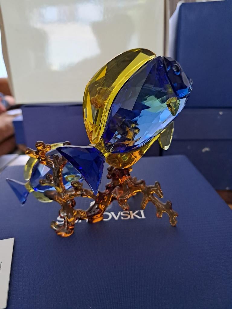 Swarovski Doktersvissen op koraal, Verzamelen, Swarovski, Ophalen of Verzenden
