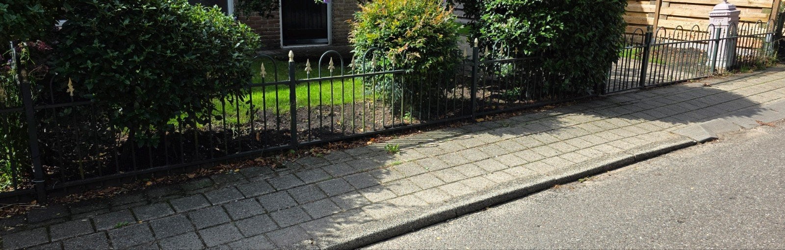 Tuinhek met poort  10 meter, Ophalen of Verzenden, ., ., .