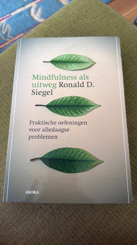 R.D. Siegel - Mindfulness als uitweg, Ophalen of Verzenden, Zo goed als nieuw, R.D. Siegel