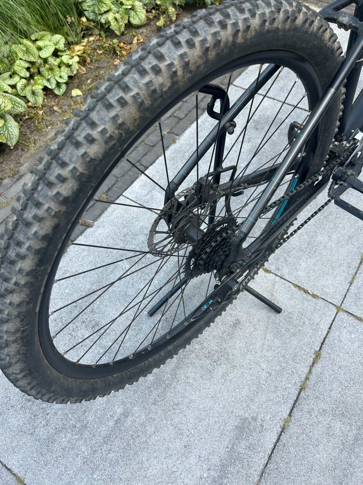 Cube Alm Race Mountainbike 16V 19" / H51, Gebruikt, Heren, 49 tot 53 cm, Schijfrem