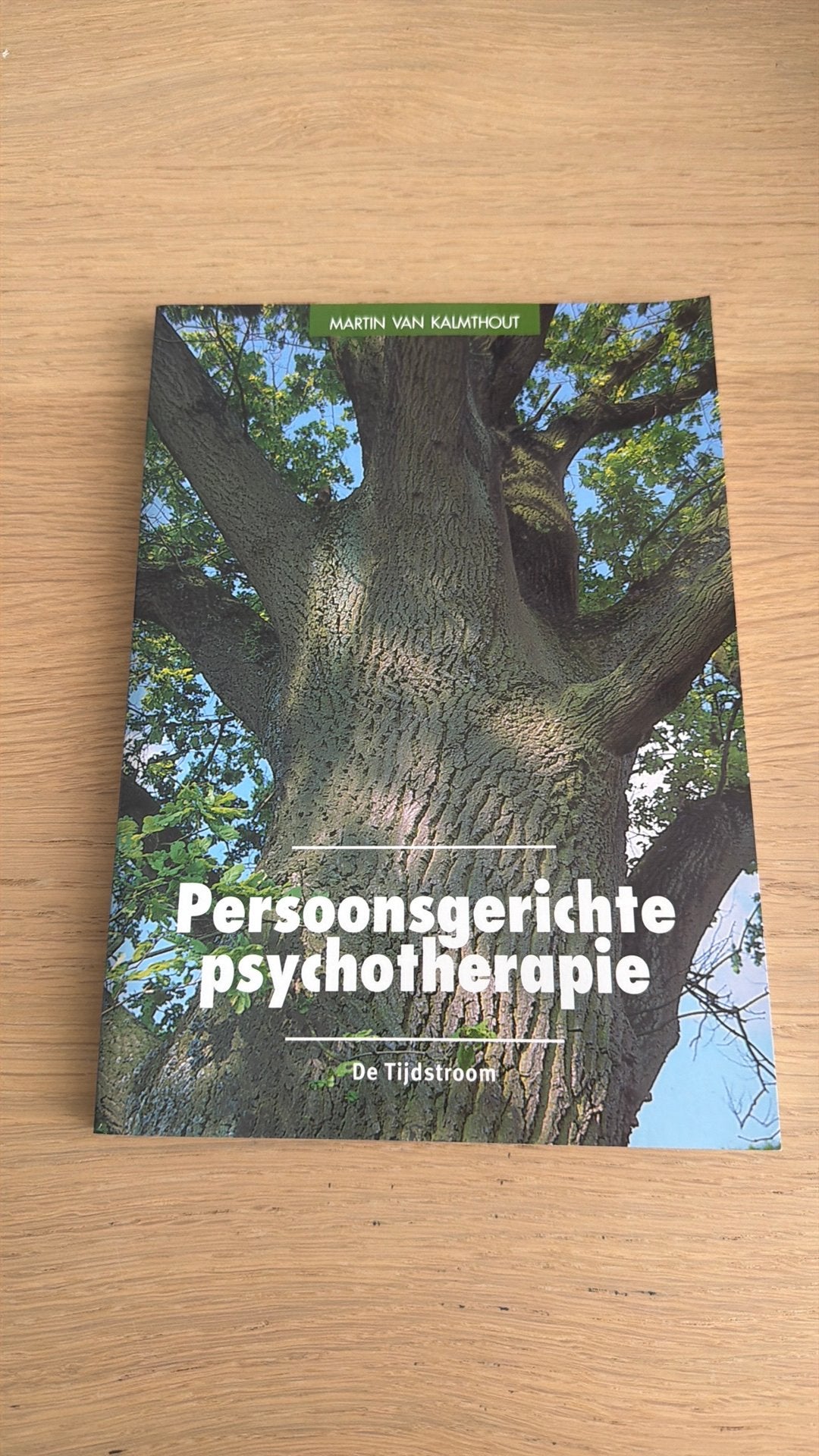 M. van Kalmthout - Persoonsgerichte psychotherapie, Boeken, Ophalen of Verzenden, Zo goed als nieuw, M. van Kalmthout