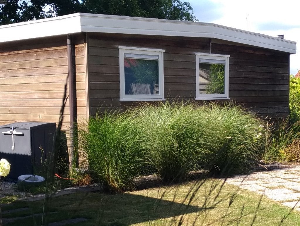 Tiny house - Kleine chalet – Mobiele bungalow, Ophalen, 3 ramen of meer, Blokhut, 500 cm of meer