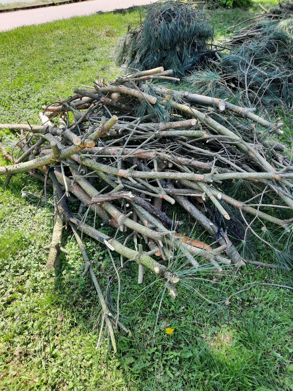 Kachel hout, Tuin en Terras, Haardhout, Ophalen of Verzenden