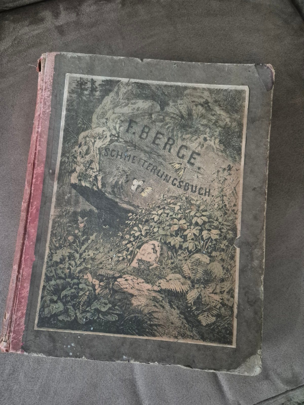 FR. BERGE'S Schmetterlings-Buch - 1876, Antiek en Kunst, Ophalen of Verzenden, FR. BERGE, H. v. HEINEMANN, Dr. W. STEUDEL