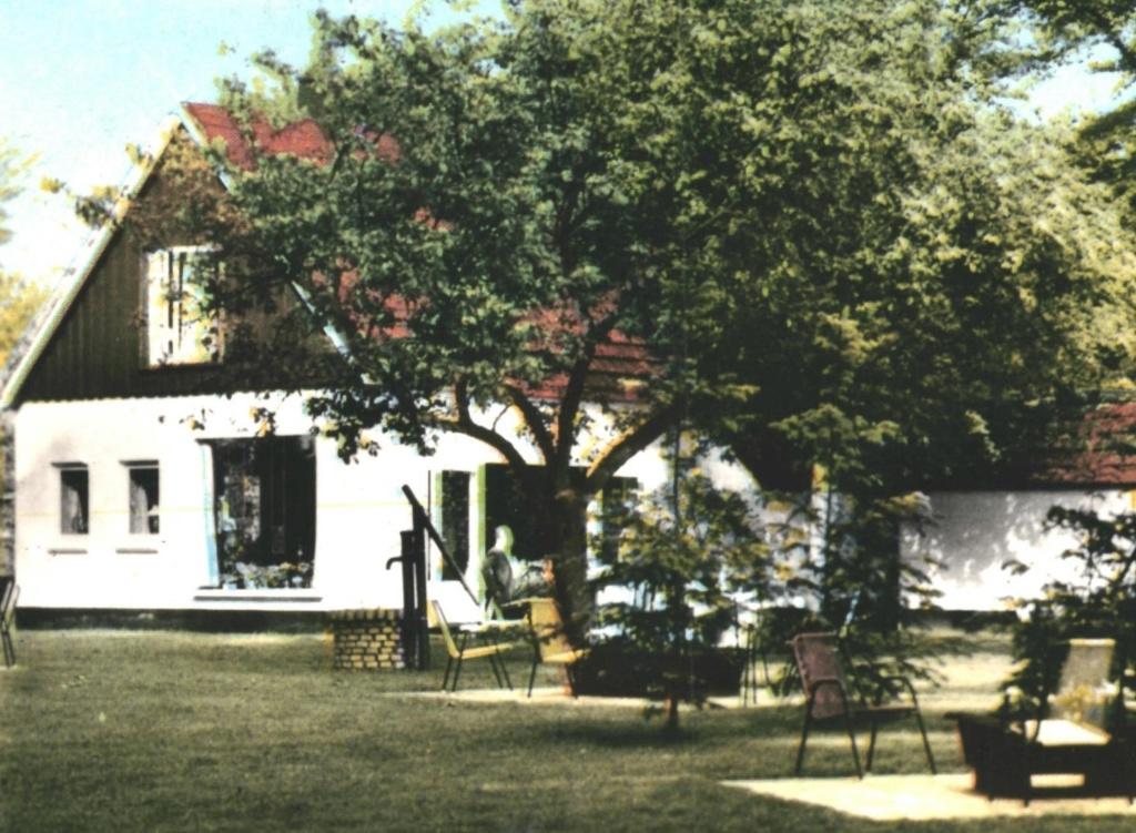 947121 Vledder 1967 Dr Adelhof Gelopen met Postzegel, Ophalen of Verzenden, 1960 tot 1980, Gelopen, Drenthe