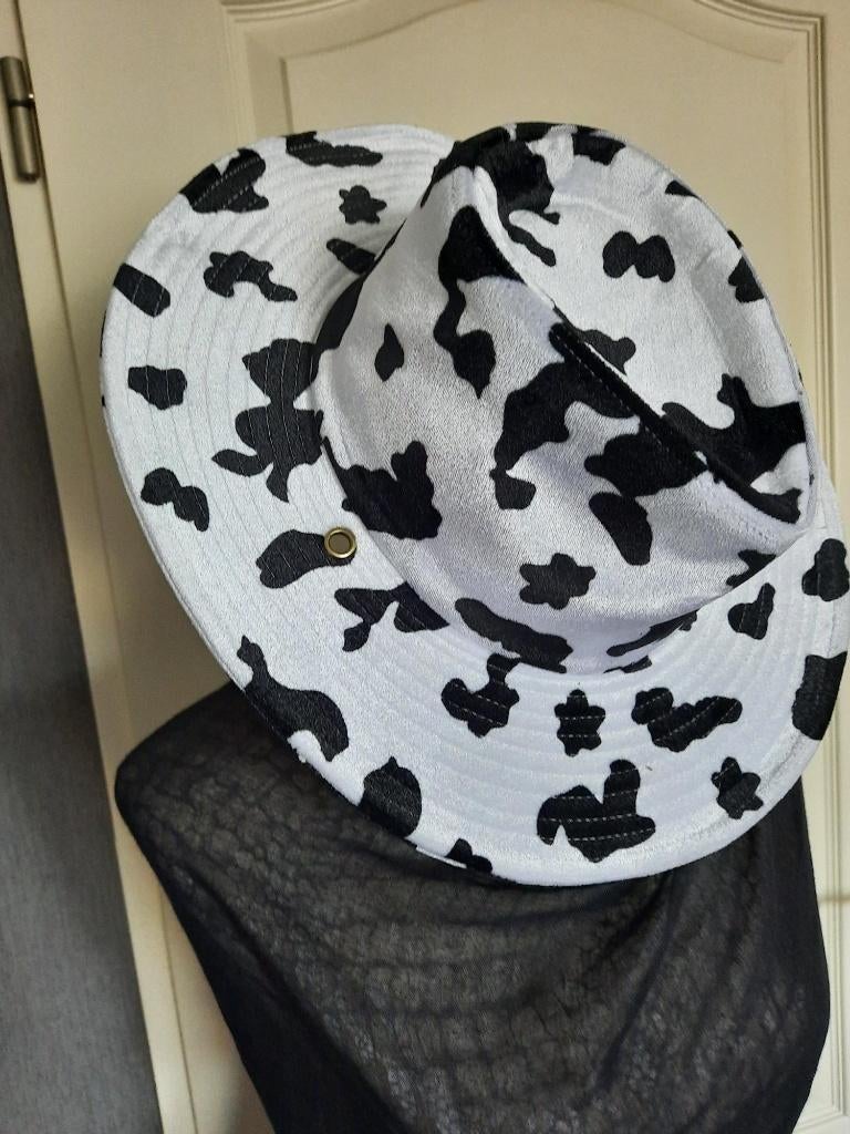 carnavals hoed, Ophalen of Verzenden, Zo goed als nieuw, Carnaval, Accessoires
