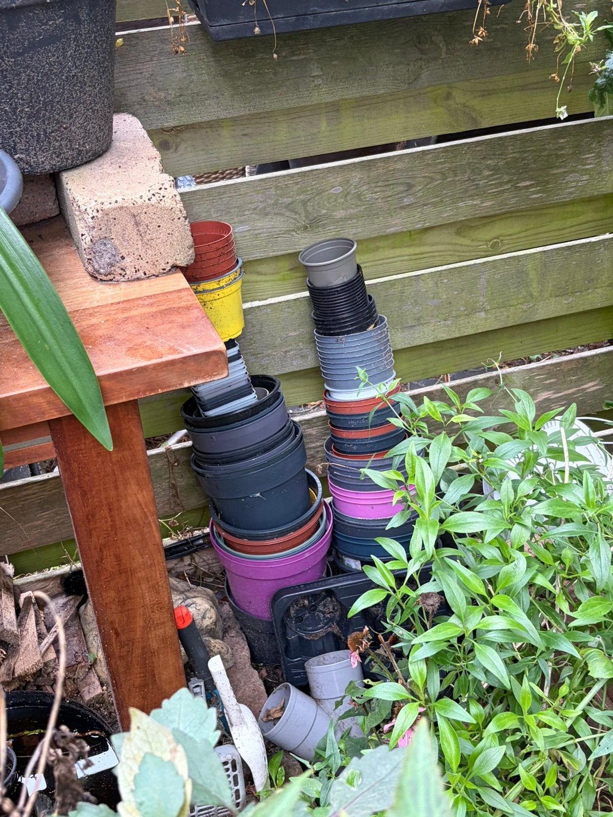 Plastic potjes voor planten, Tuin en Terras, Kunststof, Rond, Ophalen of Verzenden, Zo goed als nieuw