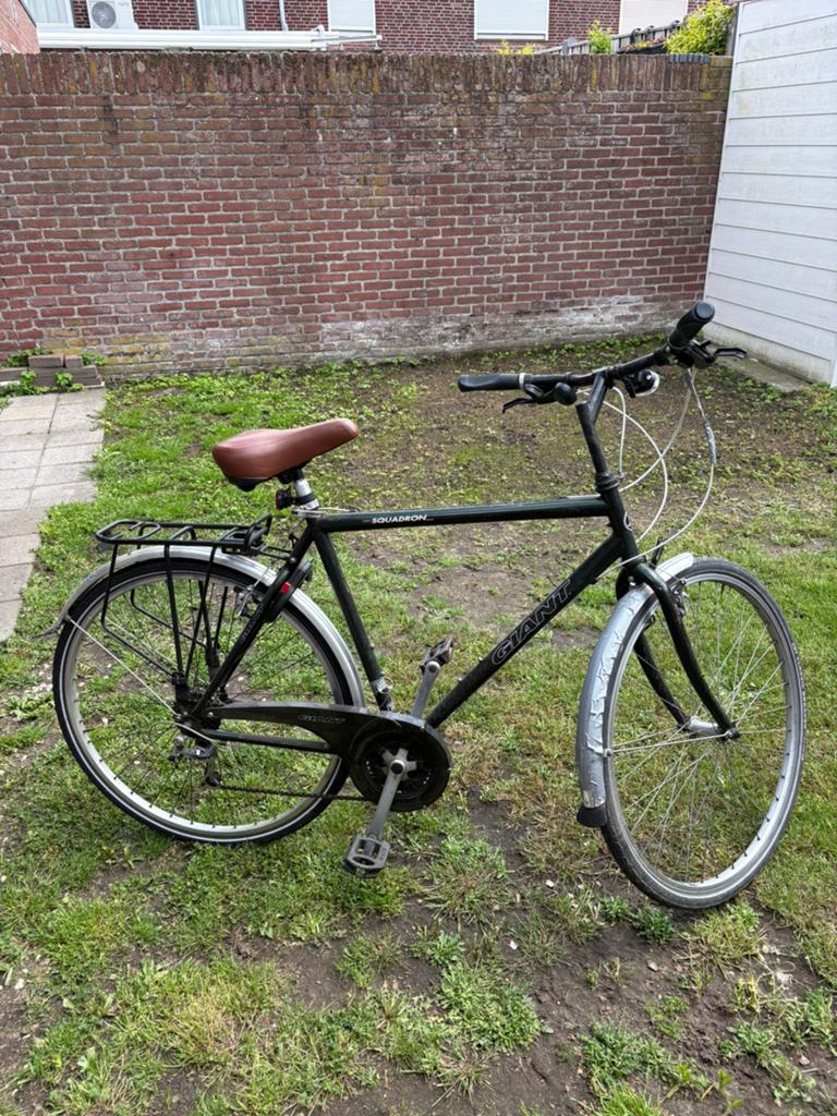 Herenfiets, Ophalen, Zo goed als nieuw, Overige merken