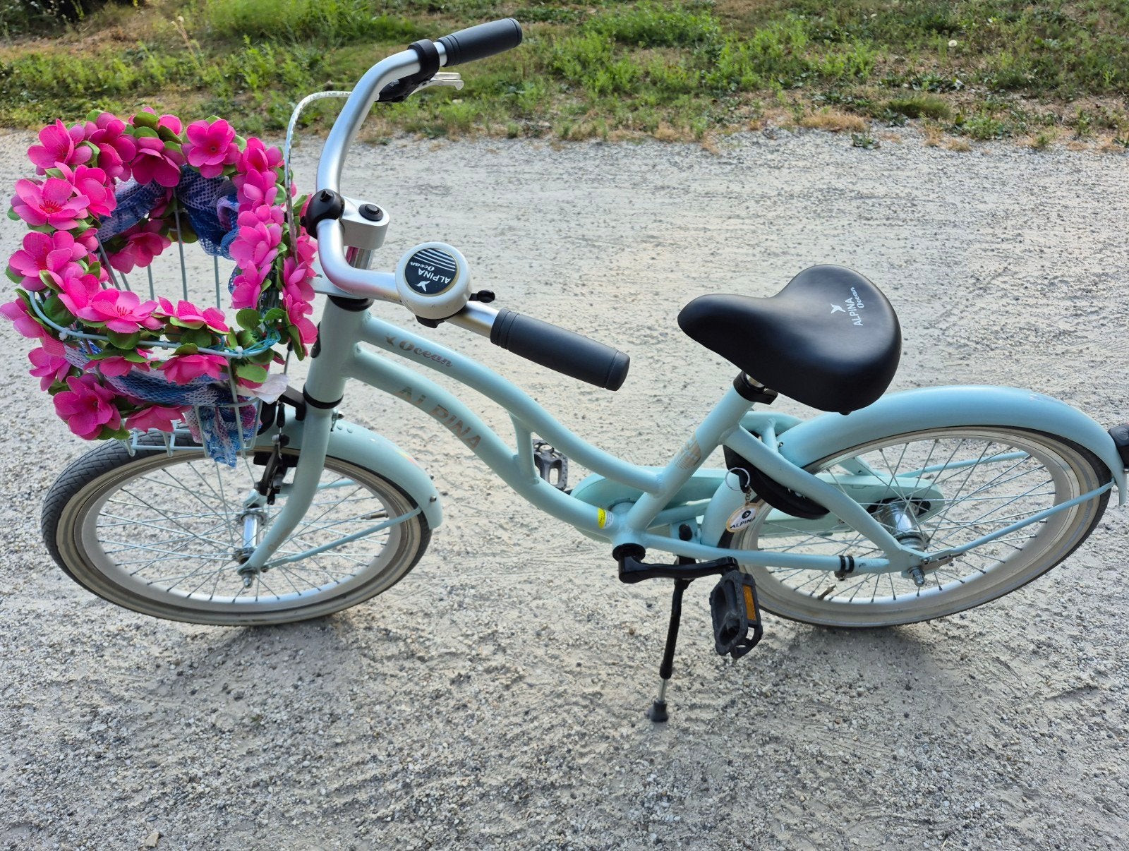Alpina Ocean kinderfiets 20 inch Glace Mint Matt, Ophalen, Alpina, Zo goed als nieuw, Terugtraprem