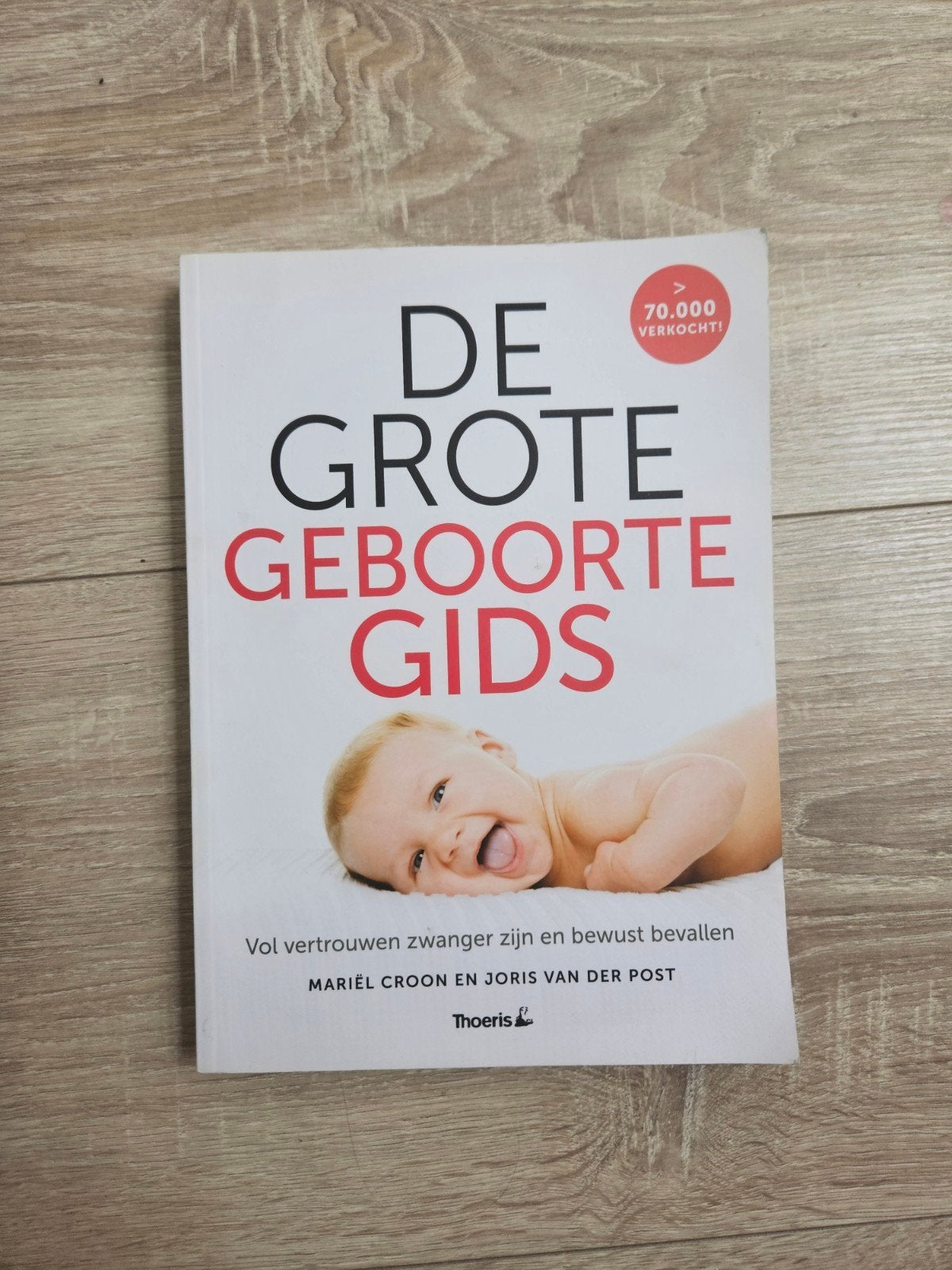 De Grote Geboorte Gids - Zwangerschap en Bevalling, Ophalen of Verzenden, Zo goed als nieuw, Zwangerschap en Bevalling, Mariël Croon en Joris van der Post