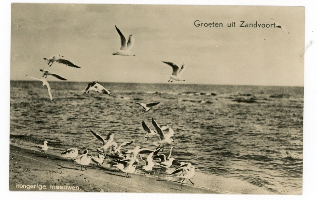 Zandvoort, Verzenden, Voor 1920, Ongelopen, Noord-Holland